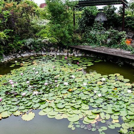 Bed and Breakfast Pigal Panzio Badacsonyors Экстерьер фото