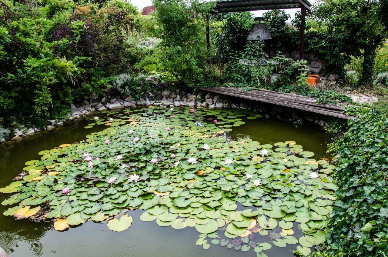 Bed and Breakfast Pigal Panzio Badacsonyors Экстерьер фото